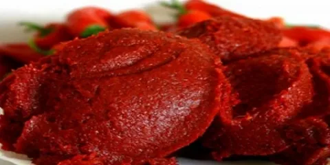 تصویر 2 از رب گوجه کوچک مسافرتی با بسته‌ بندی استاندارد و مقاوم